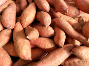Patate