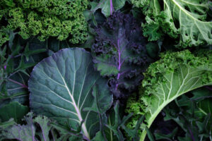 Salade